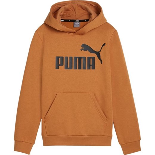 Bluza juniorska Essentials Big Logo Hooded Puma ze sklepu SPORT-SHOP.pl w kategorii Bluzy chłopięce - zdjęcie 175645157