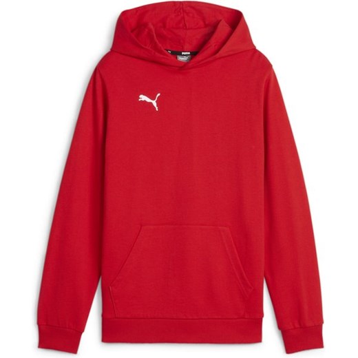 Bluza juniorska TeamGOAL Casuals Hoody Jr Puma ze sklepu SPORT-SHOP.pl w kategorii Bluzy chłopięce - zdjęcie 175645488