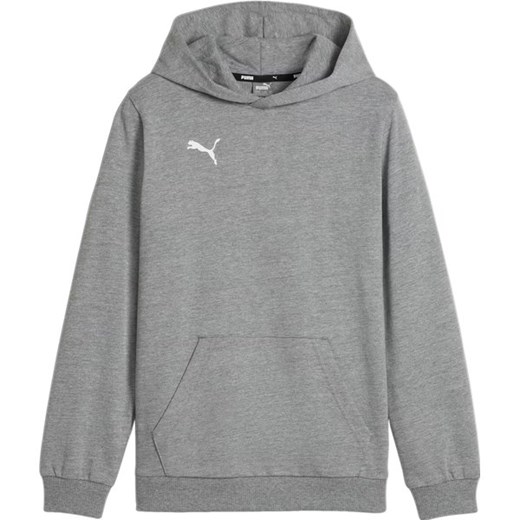 Bluza juniorska TeamGOAL Casuals Hoody Jr Puma ze sklepu SPORT-SHOP.pl w kategorii Bluzy chłopięce - zdjęcie 175645519