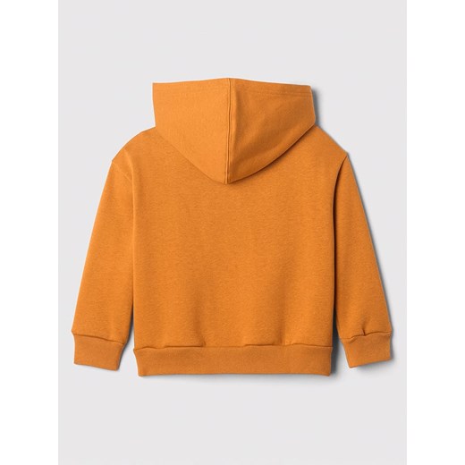 Bluza chłopięca Gap