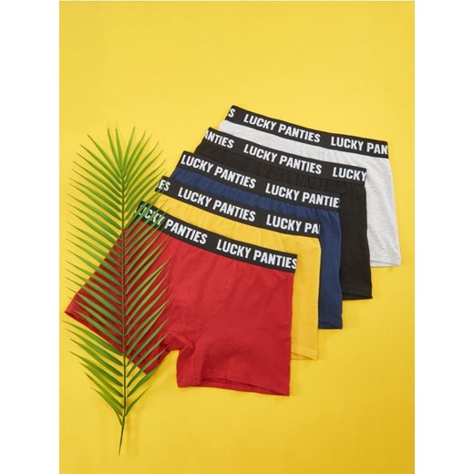 Sinsay - Bokserki 5 pack - wielobarwny ze sklepu Sinsay w kategorii Majtki męskie - zdjęcie 176314978