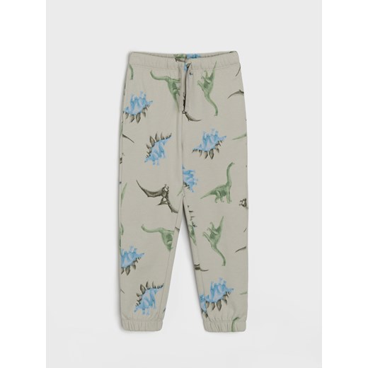 Sinsay - Spodnie dresowe - szary Sinsay 110 Sinsay