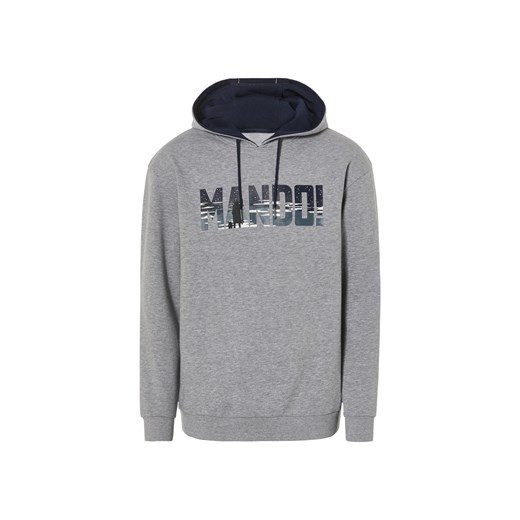 Bluza męska z kapturem (M (48/50), Szary) LIDL Sklep