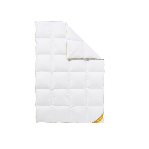 Balette Kołdra puchowa kasetowa "Gold-Edition" Balette LIDL Sklep