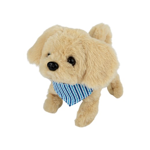 Playtive Tech Pies lub Kot Playtive LIDL Sklep