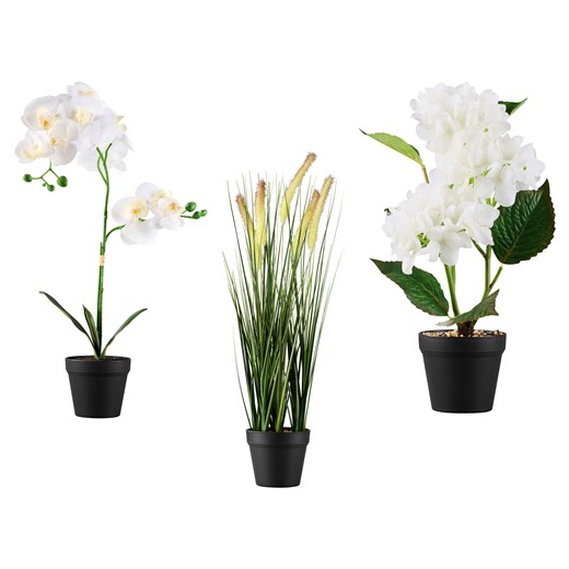 LIVARNO home Sztuczny kwiat Orchidea \ Trawa ozdobna \ Hortensja Livarno Home LIDL Sklep