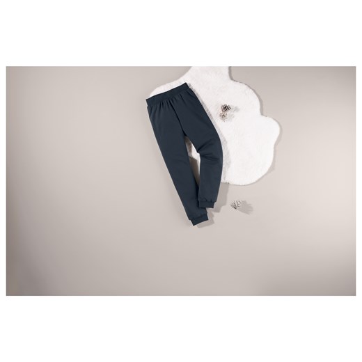 pepperts!® Spodnie dresowe chłopięce z polarem (158/164, Granatowy) Pepperts!® LIDL Sklep