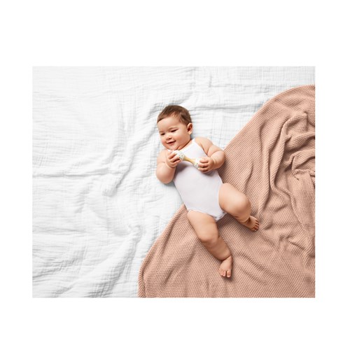 lupilu® Body niemowlęce z bawełny, 3 sztuki (62-68, Biały) Lupilu® LIDL Sklep