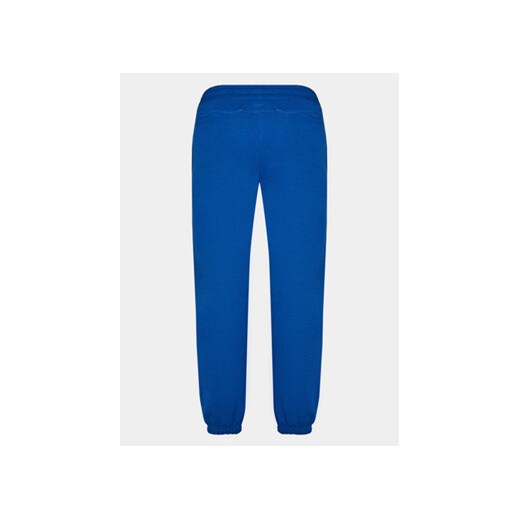 Outhorn Spodnie dresowe OTHAW23TTROM442 Niebieski Regular Fit Outhorn M MODIVO
