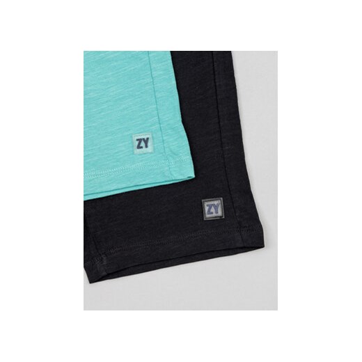 Zippy Komplet 2 par szortów sportowych ZKBAP0402 23032 Kolorowy Regular Fit 5_6Y MODIVO