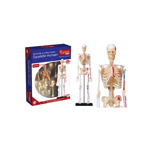 MGM 42-częściowy zestaw naukowy - 8+ Mgm onesize promocja Limango Polska