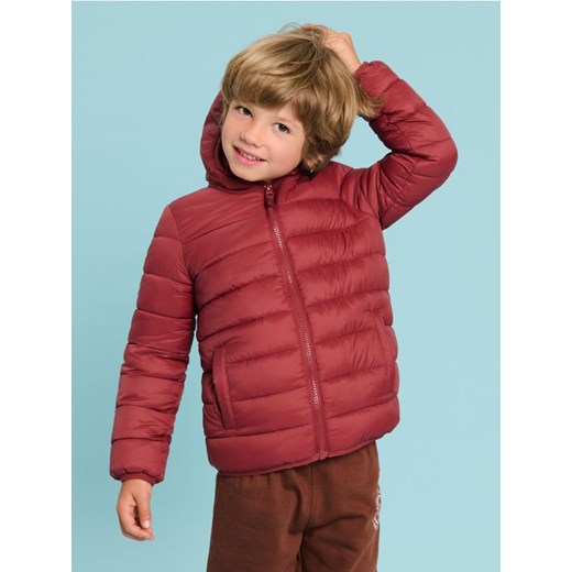Sinsay - Kurtka pikowana - bordowy ze sklepu Sinsay w kategorii Kurtki chłopięce - zdjęcie 177568019