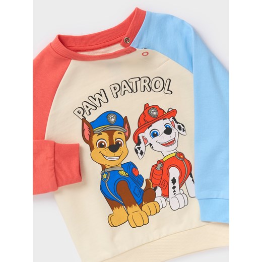 Sinsay - Bluza Psi Patrol - kremowy Sinsay 74 Sinsay