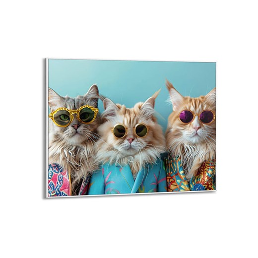 Orangewallz Druk artystyczny &quot;Cat Band&quot; w ramce - 50 x 40 cm ze sklepu Limango Polska w kategorii Obrazy - zdjęcie 177626426