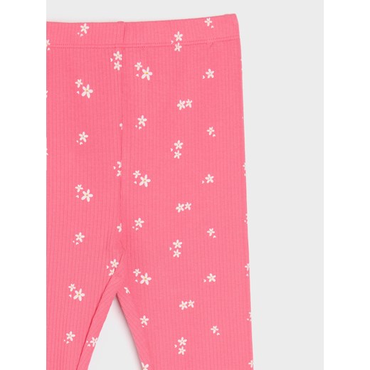Sinsay - Legginsy z prążkowanej dzianiny - fioletowy Sinsay 122 Sinsay