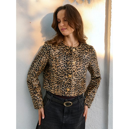 Sinsay - Żakiet - wielobarwny Sinsay S Sinsay