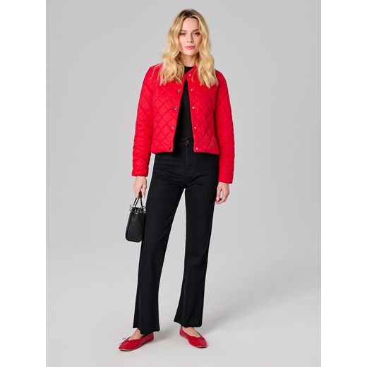 Sinsay - Kurtka - czerwony Sinsay XXL Sinsay