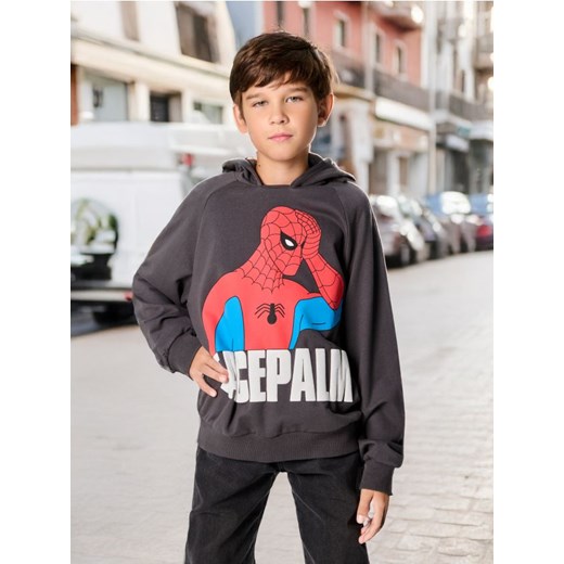 Sinsay - Bluza Spider-Man - szary ze sklepu Sinsay w kategorii Bluzy chłopięce - zdjęcie 177787516
