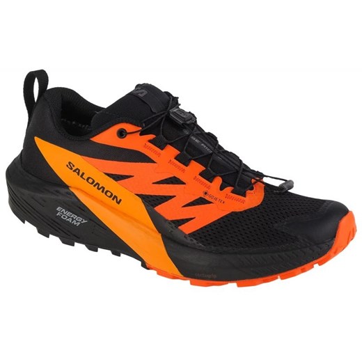 Buty do biegania Salomon Sense Ride 5 Gtx M 471473 wielokolorowe ze sklepu ButyModne.pl w kategorii Buty sportowe męskie - zdjęcie 177970139