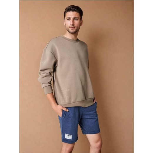 Sinsay - Bluza - brązowy ze sklepu Sinsay w kategorii Bluzy męskie - zdjęcie 178141476