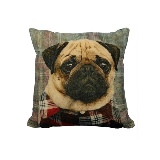 Mars &amp; More Poduszka &quot;Preppy Pug&quot; ze wzorem - 45 x 45 cm ze sklepu Limango Polska w kategorii Poduszki dekoracyjne - zdjęcie 178143187