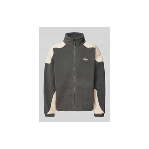 Kurtka z polaru o kroju regular fit z wyhaftowanym logo model ‘WILLETT’ ze sklepu Peek&Cloppenburg  w kategorii Kurtki męskie - zdjęcie 178152505