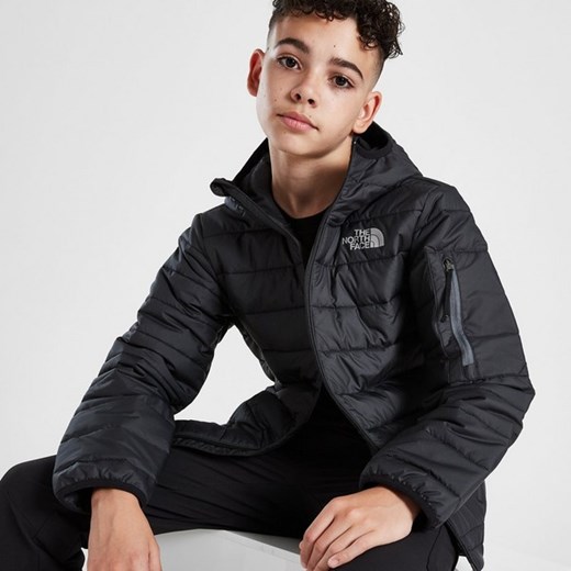 THE NORTH FACE KURTKA ZIMOWA PADDED JACKET ze sklepu JD Sports  w kategorii Kurtki chłopięce - zdjęcie 178189317