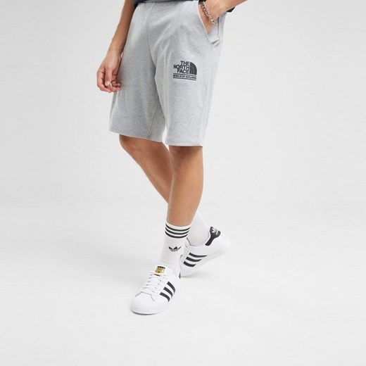 THE NORTH FACE SZORTY ze sklepu JD Sports  w kategorii Spodenki męskie - zdjęcie 178193208
