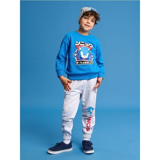 Sinsay - Bluza Sonic - niebieski ze sklepu Sinsay w kategorii Bluzy chłopięce - zdjęcie 178204507