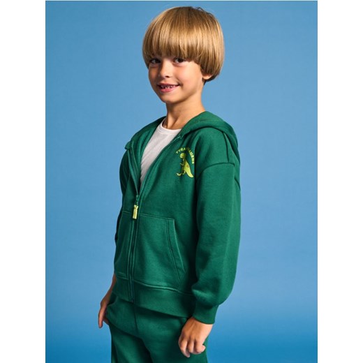 Sinsay - Bluza z kapturem - zielony ze sklepu Sinsay w kategorii Bluzy dziewczęce - zdjęcie 178253899