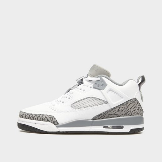 JORDAN SPIZIKE LOW ze sklepu JD Sports  w kategorii Buty sportowe damskie - zdjęcie 178261407