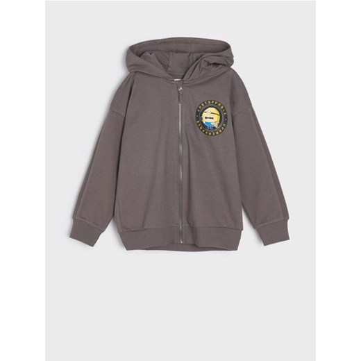 Sinsay - Bluza Minionki - szary ze sklepu Sinsay w kategorii Bluzy chłopięce - zdjęcie 178267616