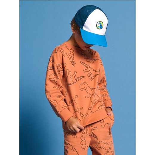 Sinsay - Bluza - pomarańczowy ze sklepu Sinsay w kategorii Bluzy chłopięce - zdjęcie 178269005