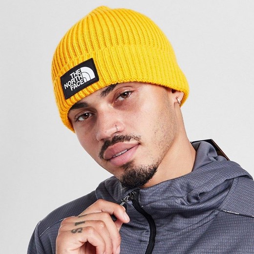 THE NORTH FACE CZAPKA TNF LOGO BOX CUF BNE WINTER CAP ze sklepu JD Sports  w kategorii Czapki zimowe męskie - zdjęcie 178328706