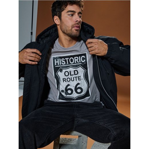 Sinsay - Koszulka - szary ze sklepu Sinsay w kategorii T-shirty męskie - zdjęcie 178338789
