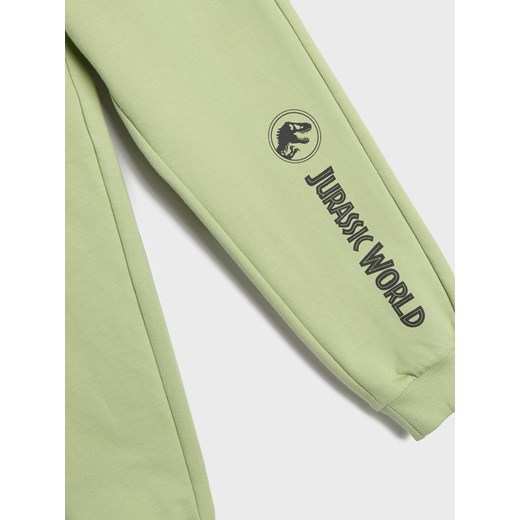 Spodnie chłopięce Sinsay 