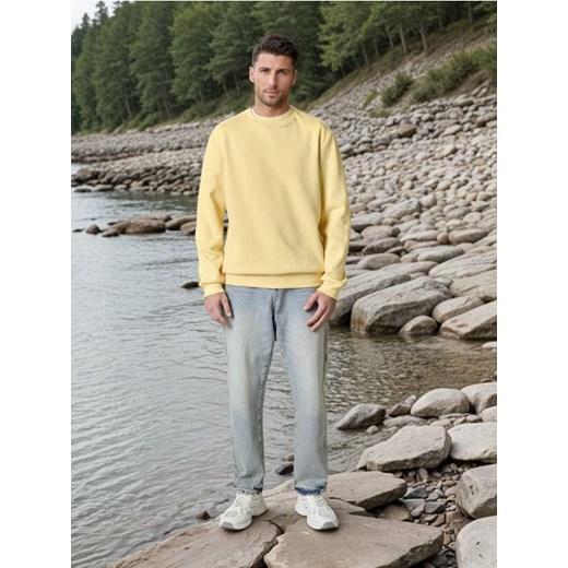 Sinsay - Bluza - żółty ze sklepu Sinsay w kategorii Bluzy męskie - zdjęcie 178529237