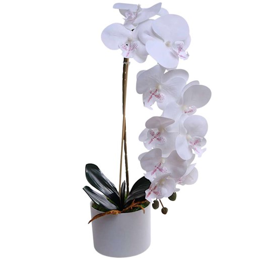 Dekoracja Pantofelek24 