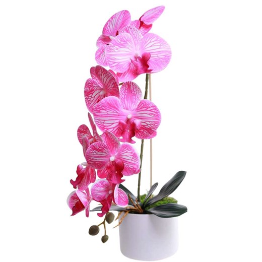 Dekoracja Pantofelek24 