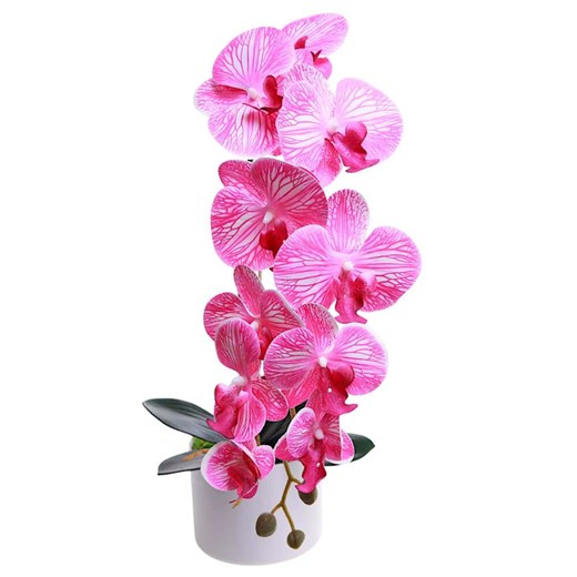 Dekoracja Pantofelek24 