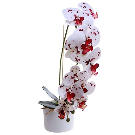 Dekoracja Pantofelek24 