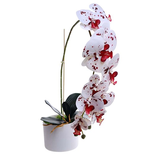 Dekoracja Pantofelek24 