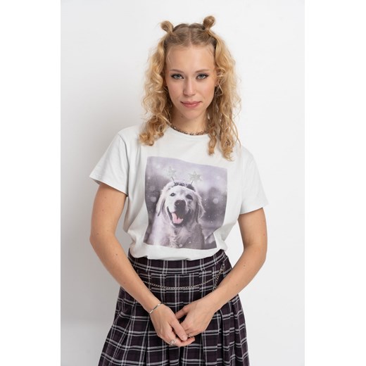 Szary t-shirt z autorską grafiką z motywem świątecznym z przodu, kolor - szary, rozmiar - 170 ze sklepu REPORTER w kategorii Bluzki dziewczęce - zdjęcie 178567306