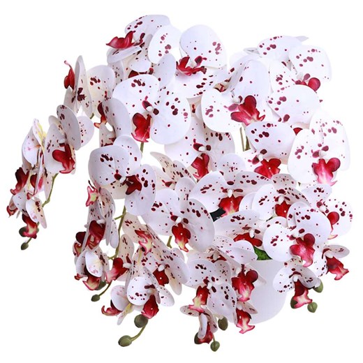 Dekoracja Pantofelek24 