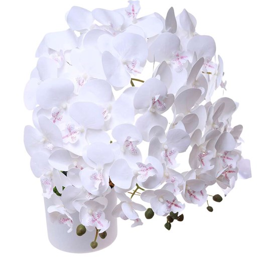 Dekoracja Pantofelek24 