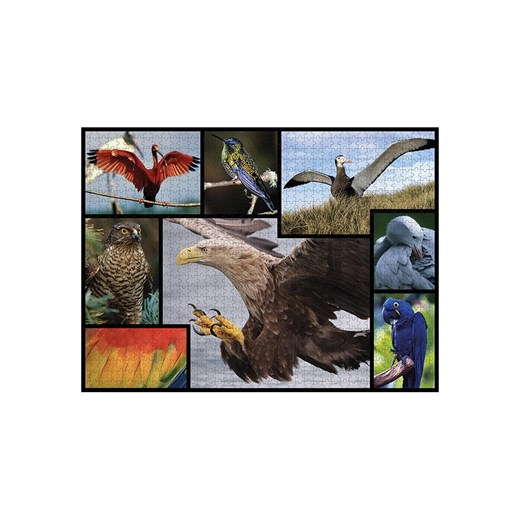 ambassador 1000-częściowe puzzle "Birds" - 12+ Ambassador onesize okazja Limango Polska