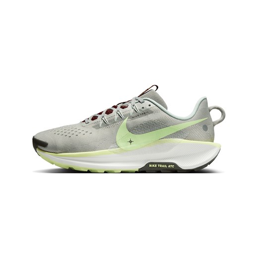 Męskie buty do biegania w terenie Nike Pegasus Trail 5 - Szary ze sklepu Nike poland w kategorii Buty sportowe męskie - zdjęcie 178609526