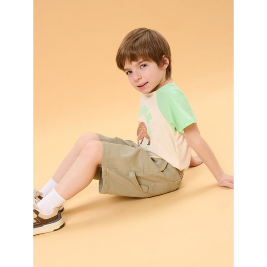 Sinsay - Szorty - zielony Sinsay 122 Sinsay