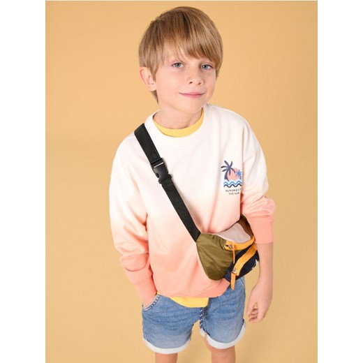 Sinsay - Bluza z nadrukiem - pomarańczowy ze sklepu Sinsay w kategorii Bluzy chłopięce - zdjęcie 178637138