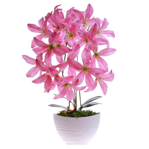 Różowy storczyk Cybidium Kompozycja kwiatowa 3 Pędy 50 cm KOMp84 S240 Pantofelek24 50 cm Pantofelek24.pl